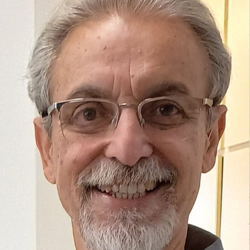 Hamilton Camargo Rodrigues